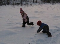 Mayrend-Animal_Tracks_in_the_snow.jpg